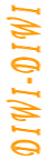 Logo DIWI REISEN